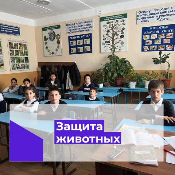 День защиты животных.